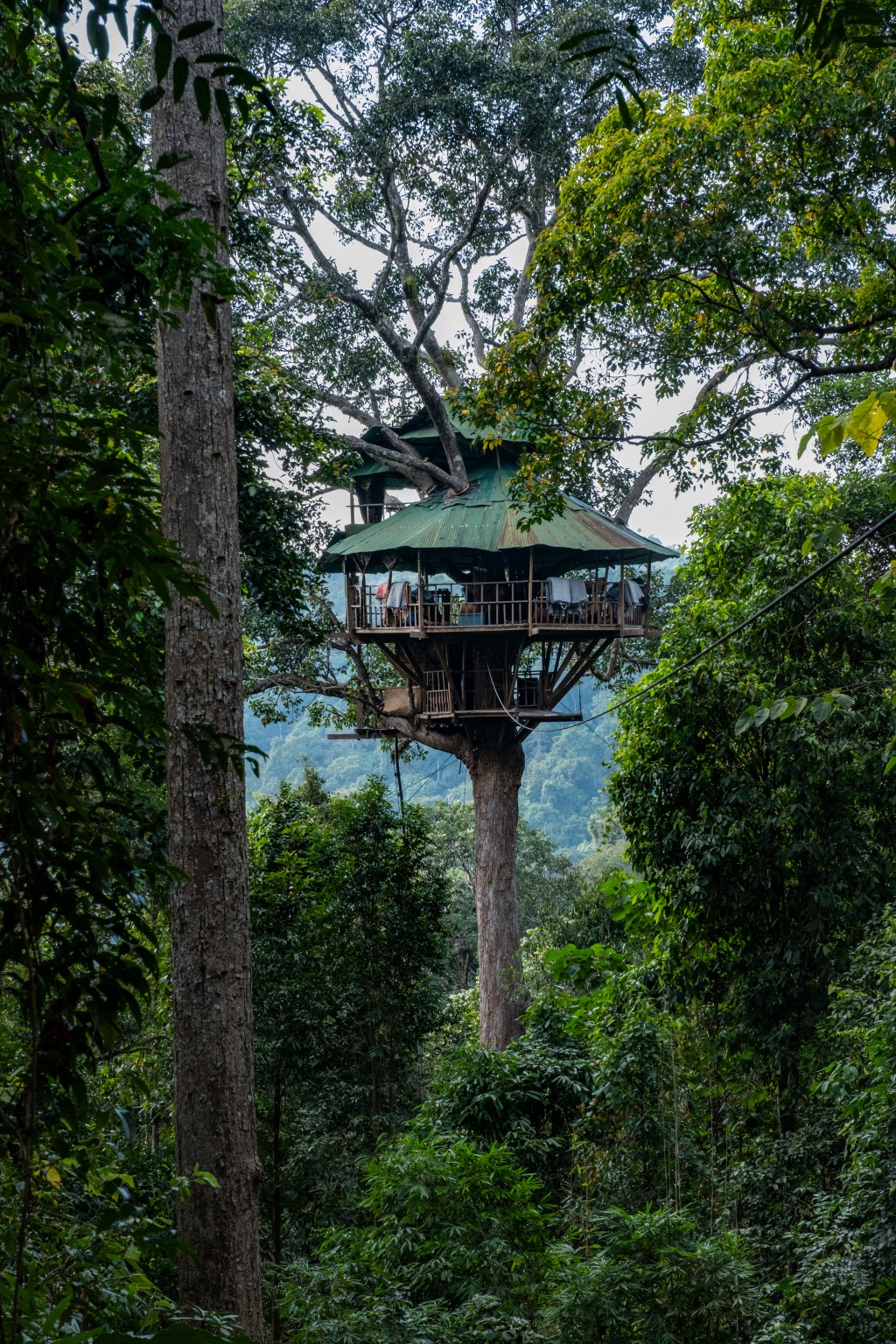 Laos – The Gibbon&nbsp;Experience