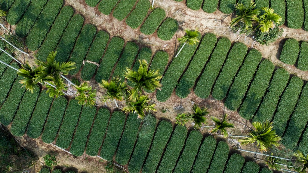 Taïwan – Taroko, Sun Moon Lake et&nbsp;Rueili