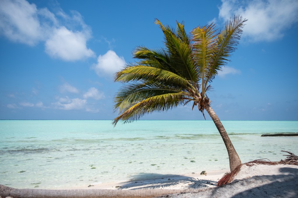 Philippines – Balabac et Port&nbsp;Barton