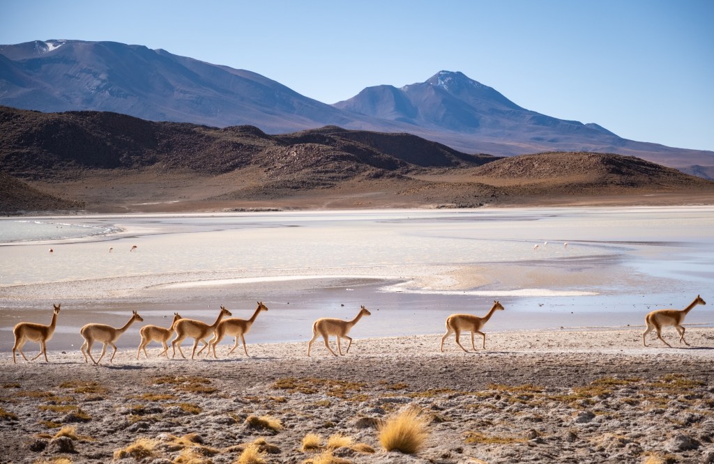 Bolivie – Salar d’Uyuni et Sud&nbsp;Lipez